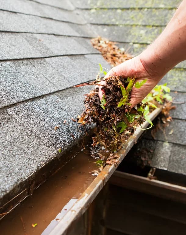 Retrait de débris et feuilles accumulés dans une gouttière